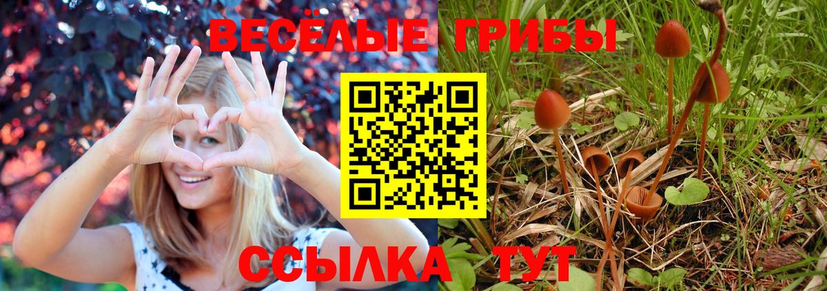 Тольятти  Галлюциногенные грибы мицелий  Вход с VPN 