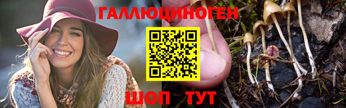 Псилоцибиновые грибы MAGIC MUSHROOMS Тольятти